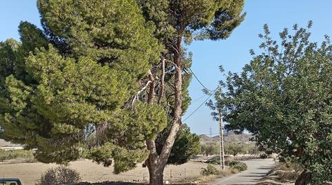 Foto 3 de Casa o chalet en venta en Mojácar Pueblo, Almería