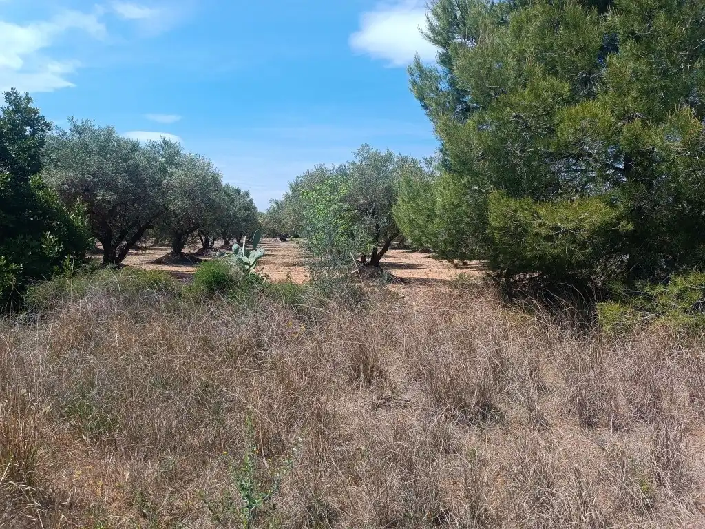 Nau industrial en venda en Canet lo Roig