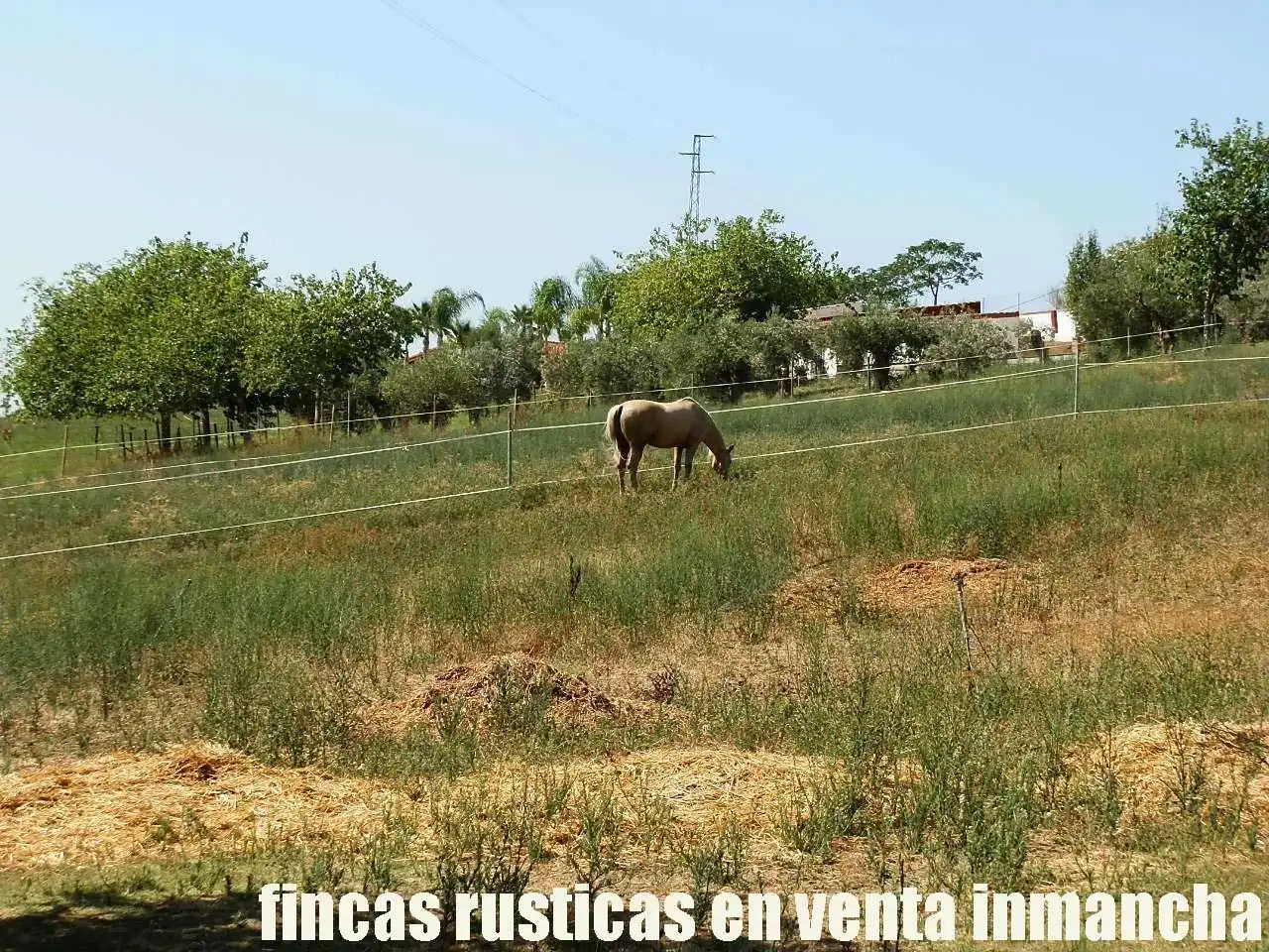 Terreni e lotti in vendita a Pizarra, imagen 23
