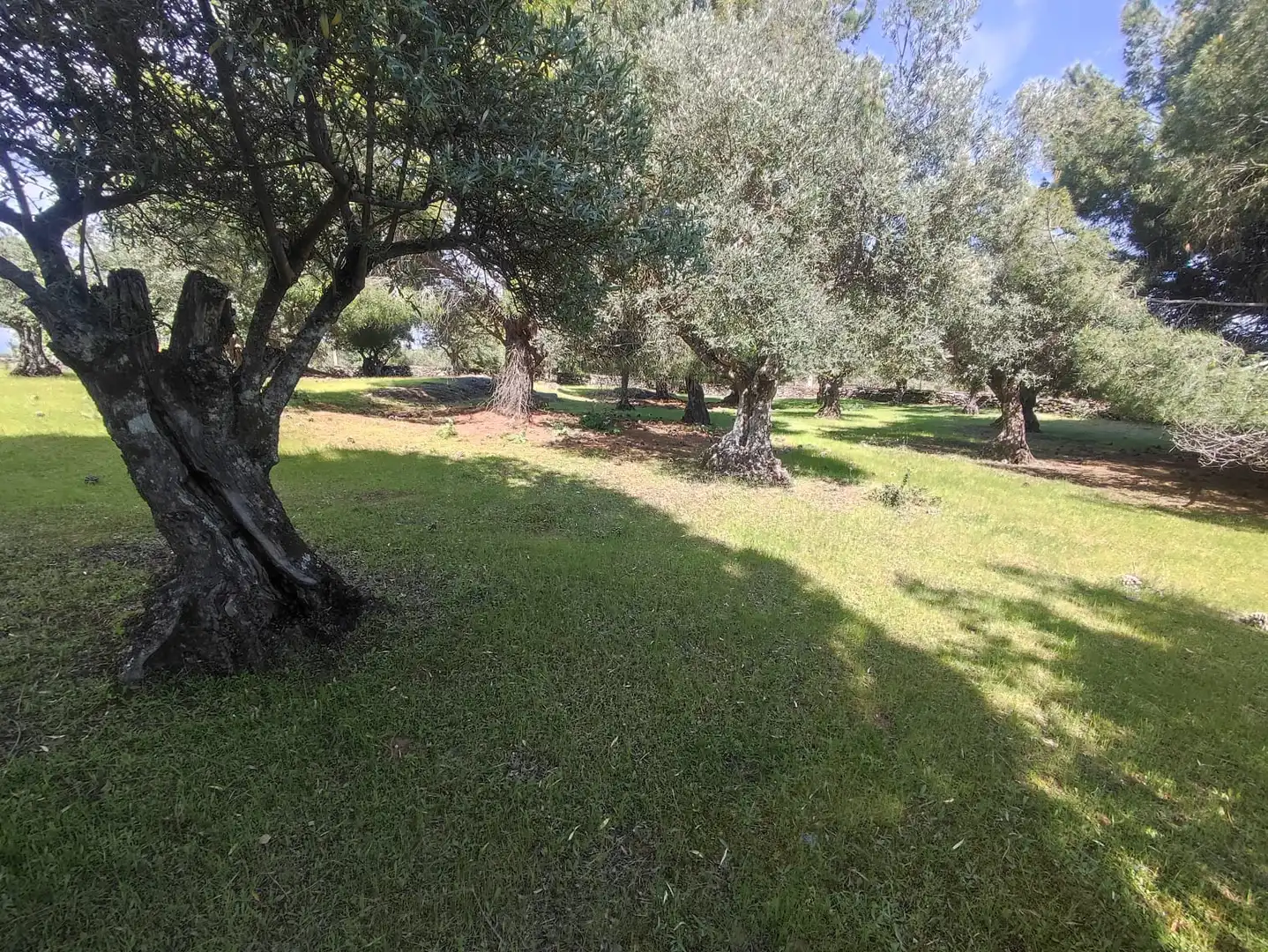 Terreni e lotti in vendita a Miralvalle - Av. Virgen del Puerto - La Data, imagen 5