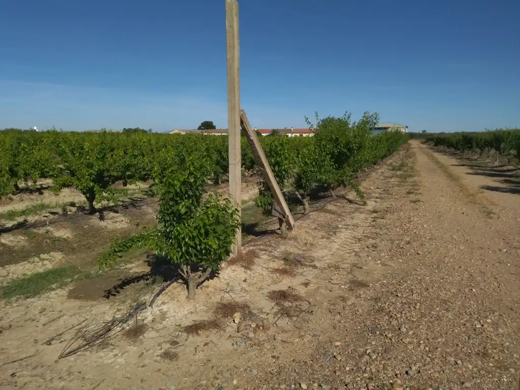Terreno en venta en Campo Lugar
