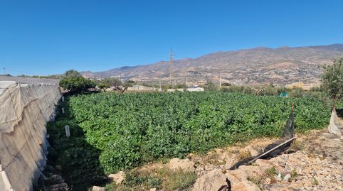 Parcela de 27.269 con varios cortijos, invernadero, bancales de siembra, balsa, en terreno muy característico, immagine 3
