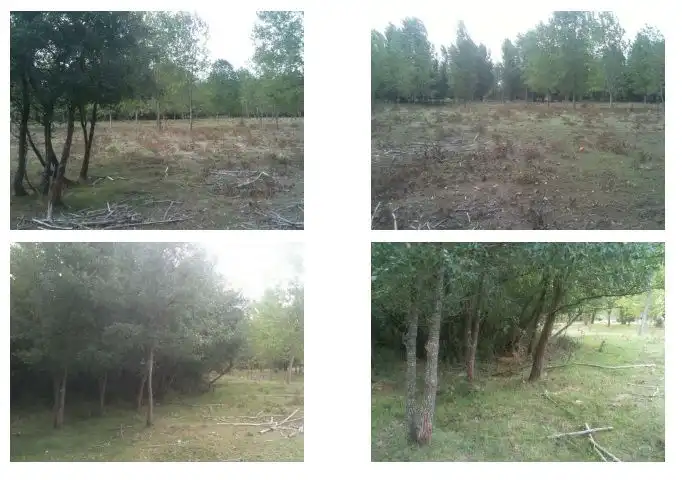 Rural land for sale in Medina de Pomar, imagen 4