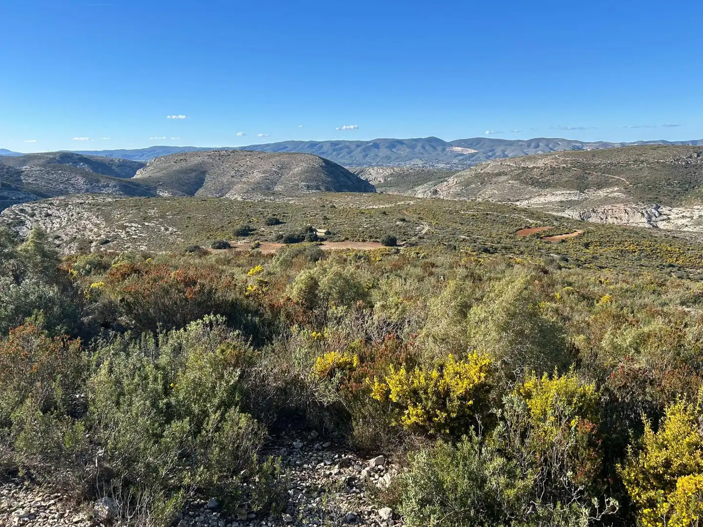 Finca rústica en venta en partida Pla de la Viña, Alfafara