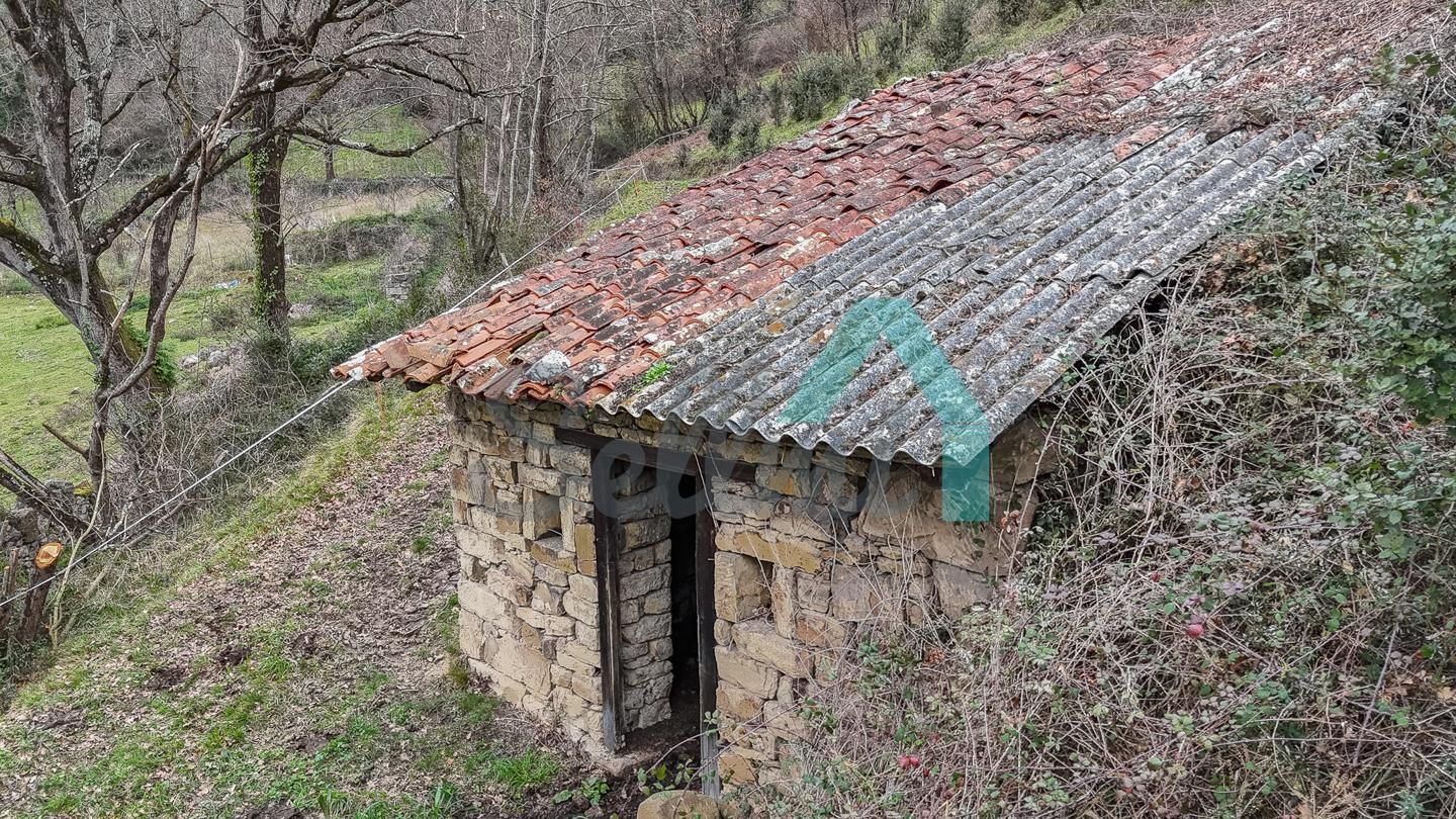 Exterior view of Country house for sale in Proaza  with Private garden