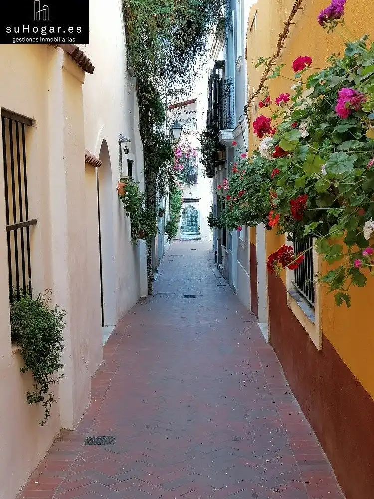 Wohnungen zur Miete in Casco Antiguo