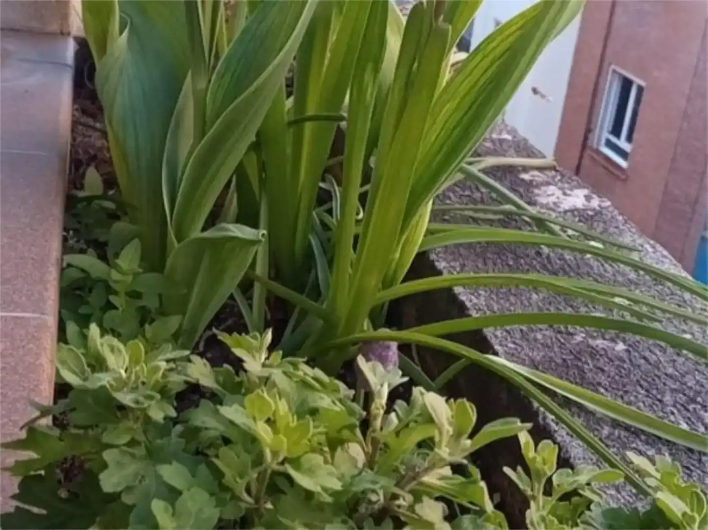 Garten von Maisonette zum Verkauf in  Logroño mit Parkett und Abstellraum