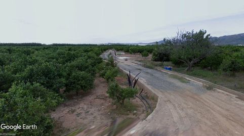 HUERTA DE REGADÍO, OPCIÓN CASETA DE APEROS, immagine 2