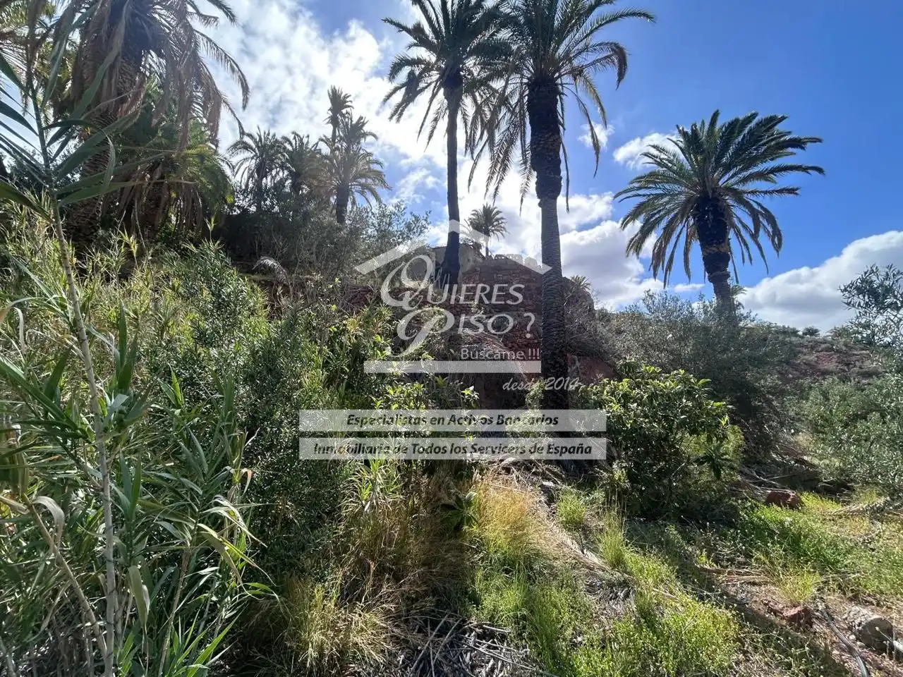 Land for sale in Santa Lucía de Tirajana