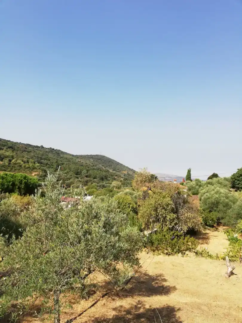 Finca rústica en venda en Plasencia amb Jardí privat, Traster i Piscina