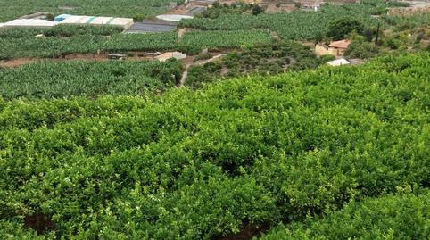 Foto 3 de Terreno en venta en Prolongacion Primera a Carracote, 158, Buenavista del Norte, Santa Cruz de Tenerife