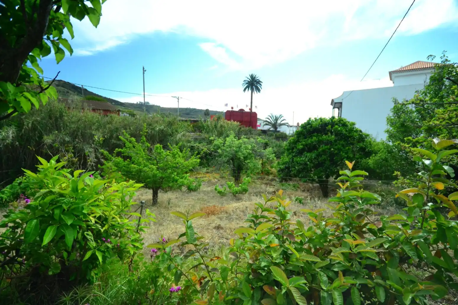 Casa in vendita a Tegueste - Calle TEJAR, imagen 14