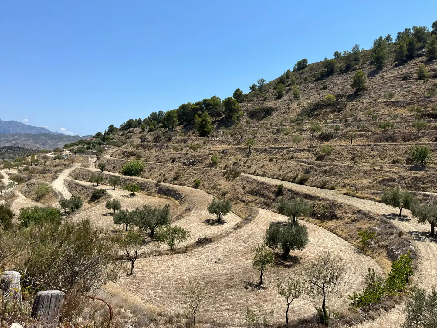 Casa o chalet en venta en Jijona / Xixona