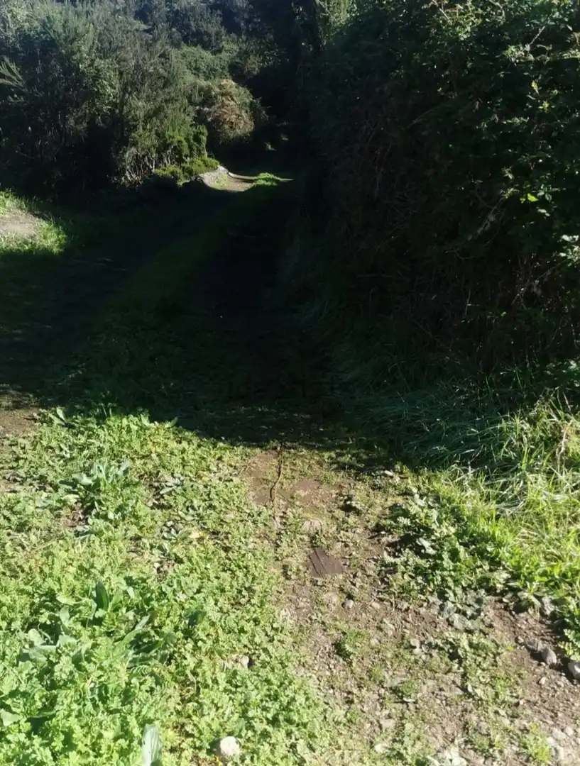 Grundstücke zum Verkauf in Santa Cruz de Tenerife