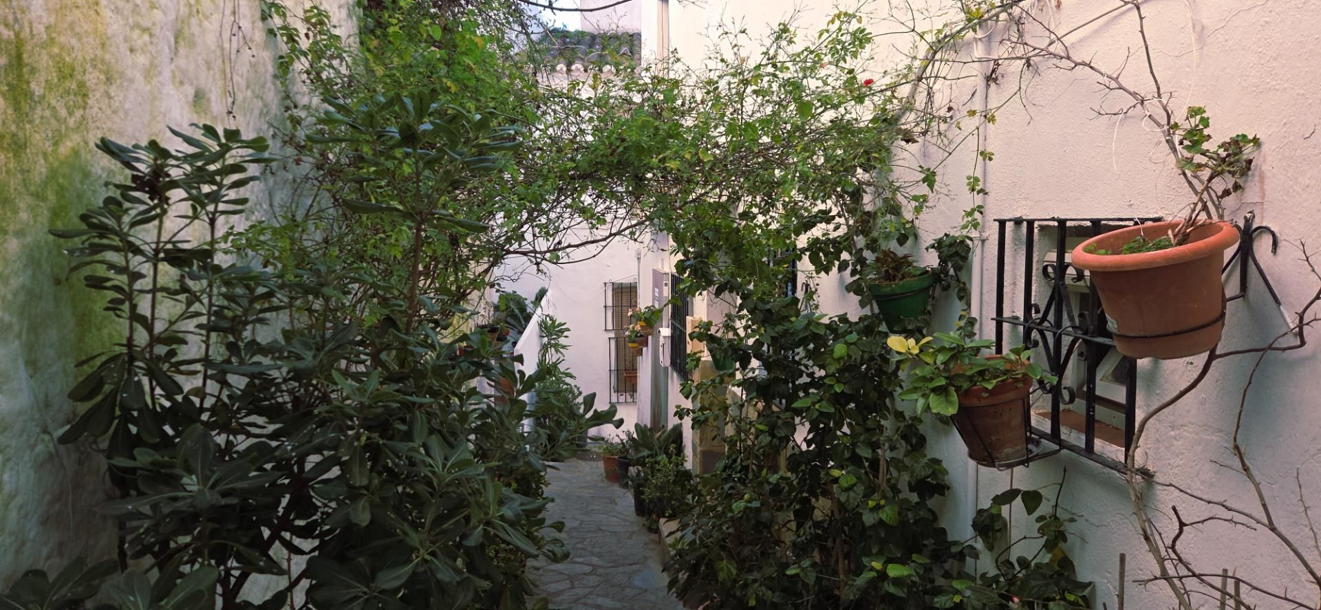 Exterior view of Duplex for sale in Casares