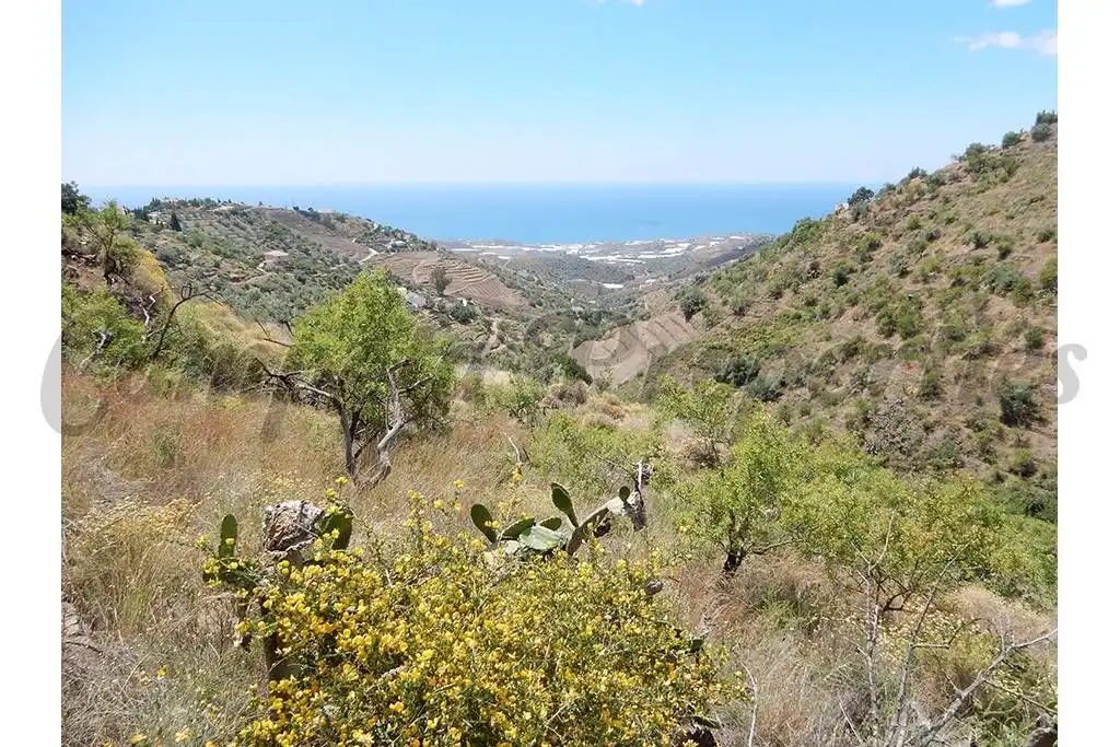 Terreny rústic en venda a Sayalonga, imagen 7