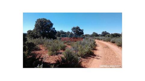 Photo 5 of Country house for sale in Alhambra, Ciudad Real