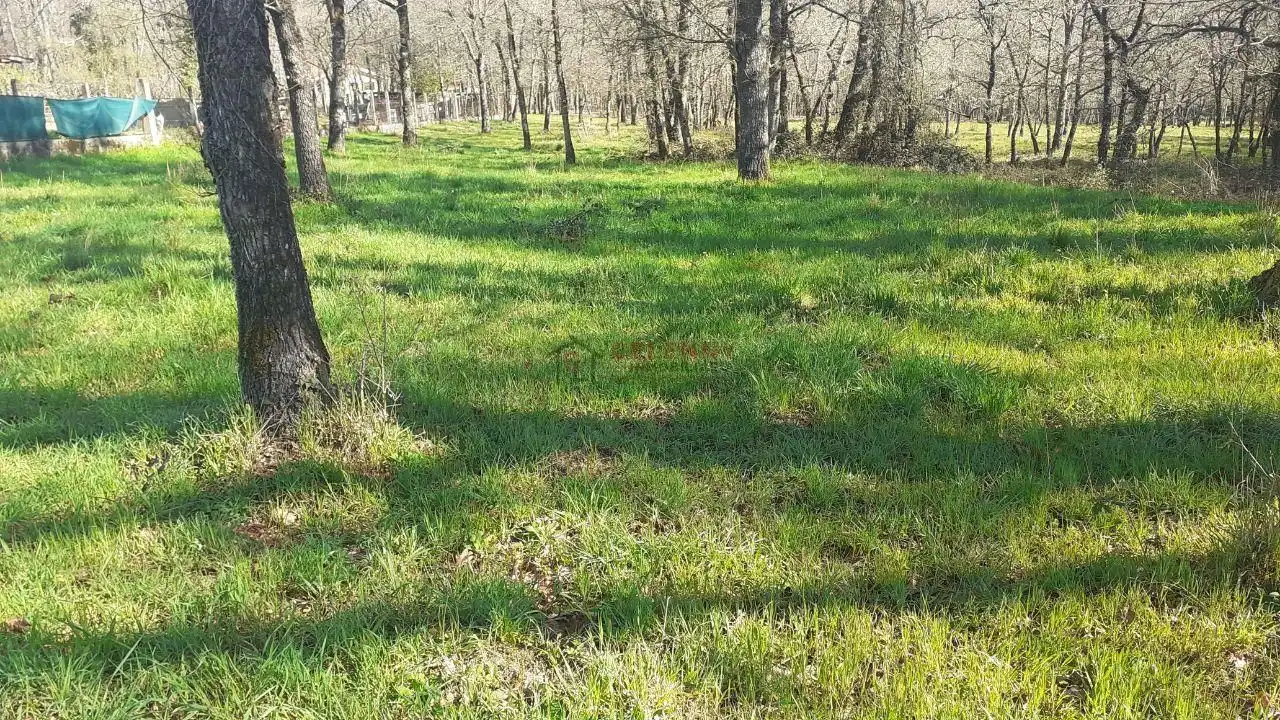 Terreni e lotti in vendita a Paderne de Allariz, imagen 14