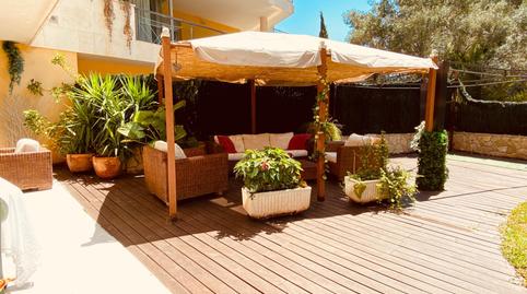 Photo 5 of Planta baja for sale in Sol de Mallorca, Calvià