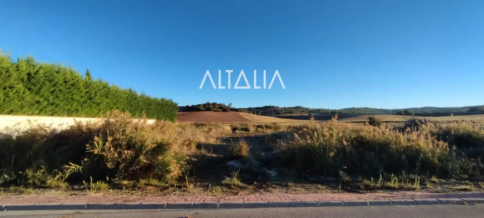 Rural land for sale in CAÑADA MOLINA, imagen 12
