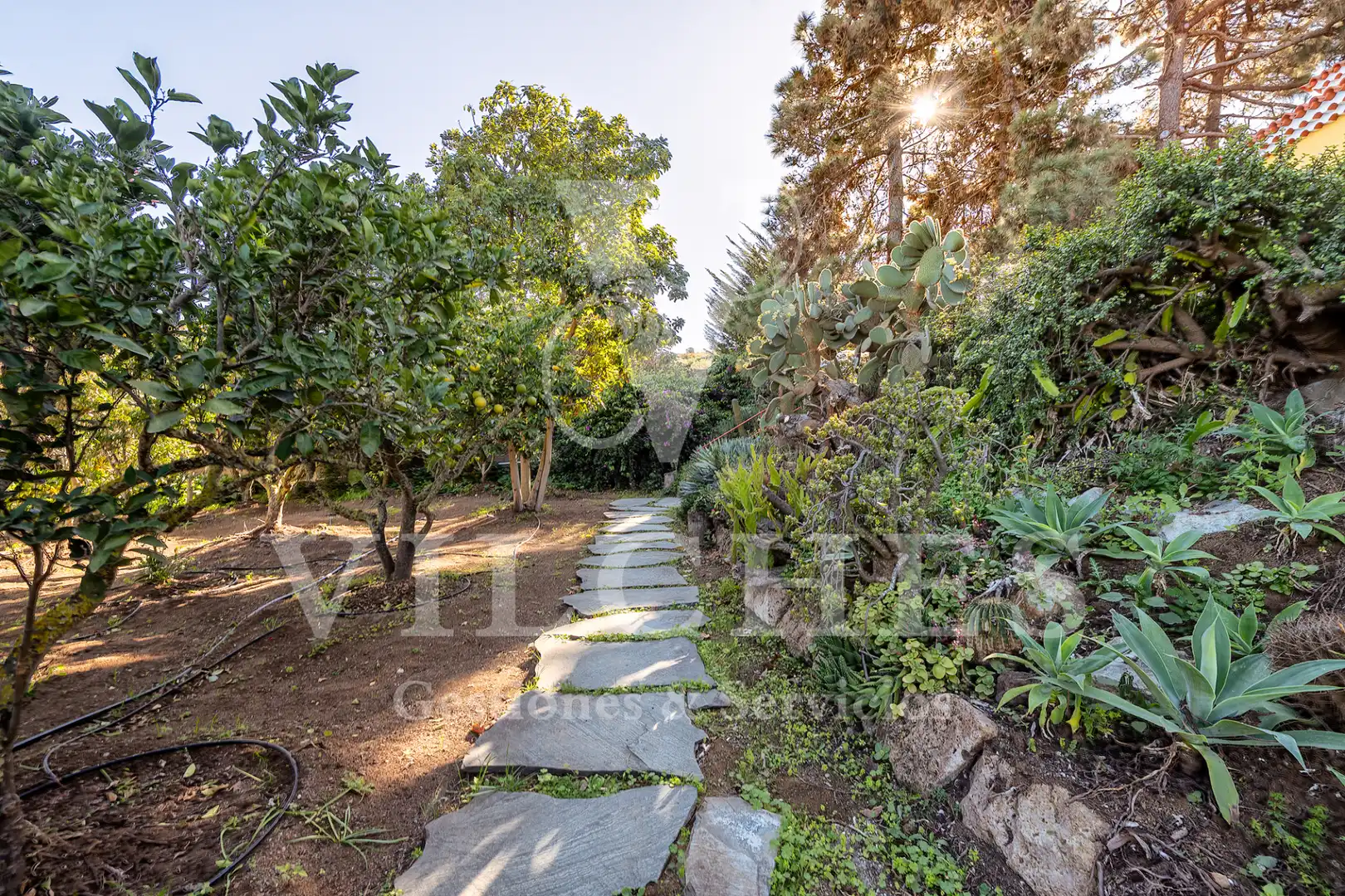 Jardí de Casa o xalet en venda en Santa Brígida amb Jardí privat, Terrassa i Traster