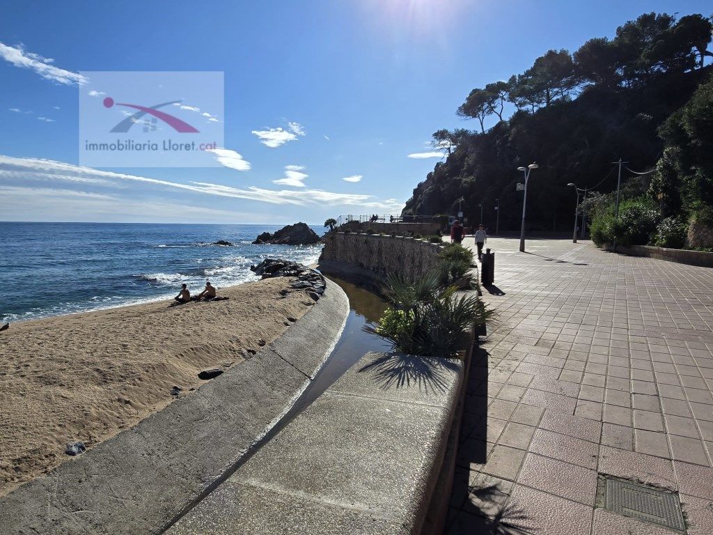 Exterior view of Box room for sale in Lloret de Mar