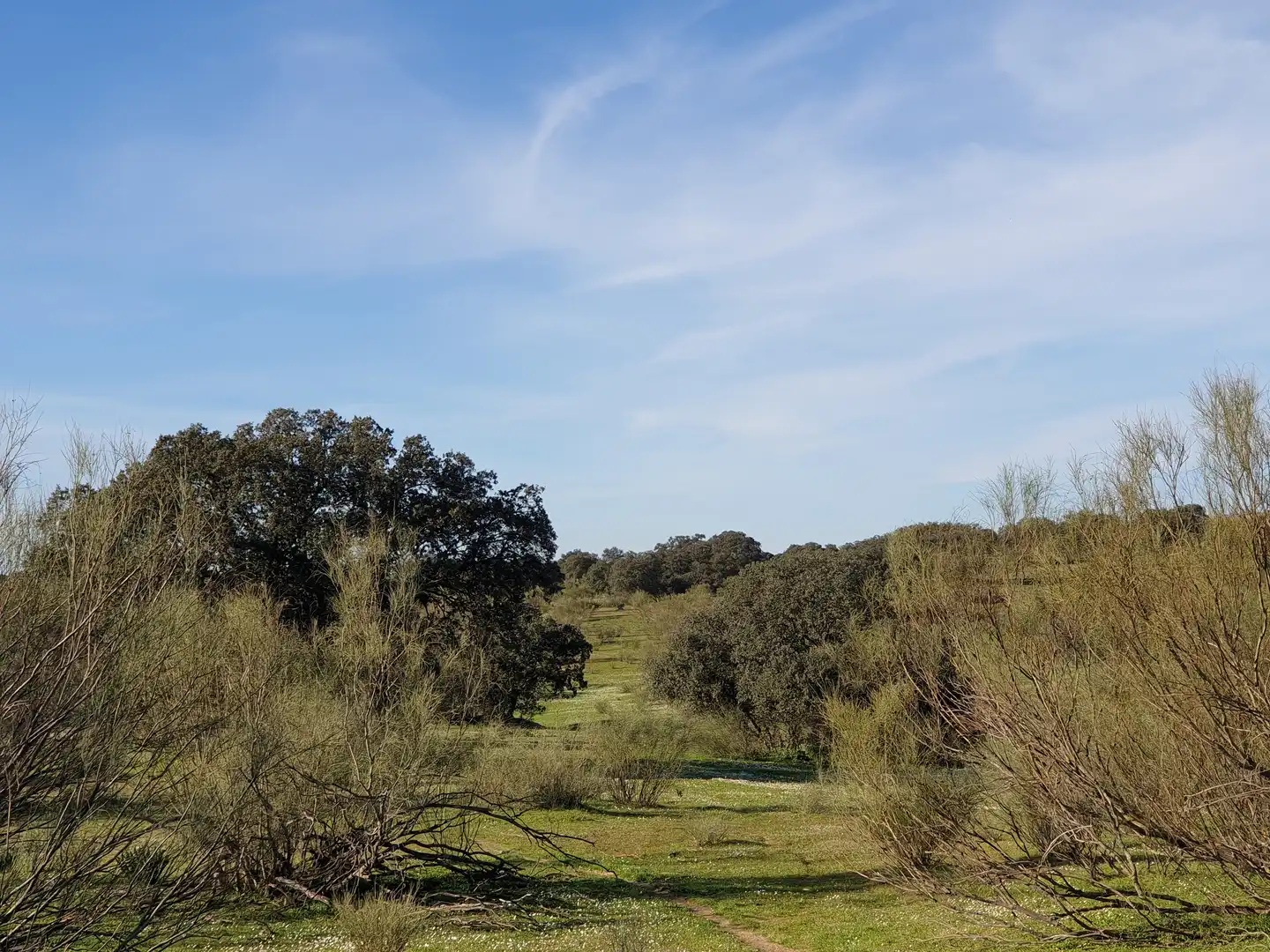 Terreni e lotti in vendita a Quintana de la Serena, imagen 11