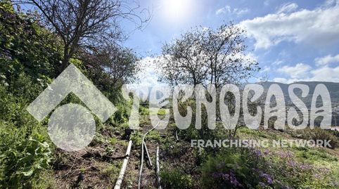 Foto 4 von Grundstücke zum Verkauf in Alcaravaneras, Las Palmas de Gran Canaria