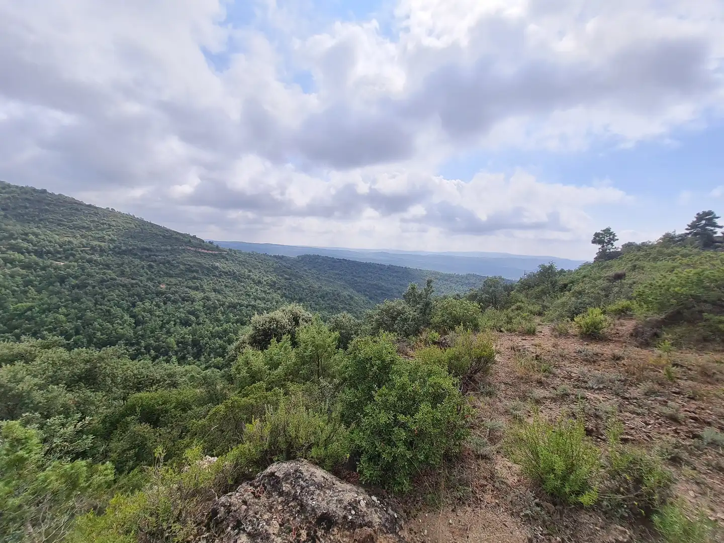 Country homes for sale in Olvan