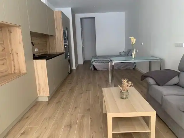 Sala de estar de Loft de alquiler en Elche / Elx