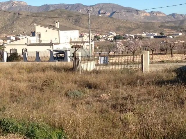 Terreno rustico in vendita a Hondón de los Frailes, imagen 3