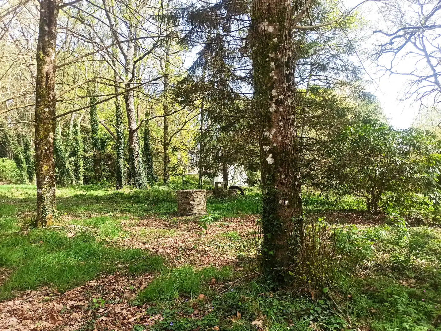 Terreni e lotti in vendita a Parroquias del Este, imagen 20