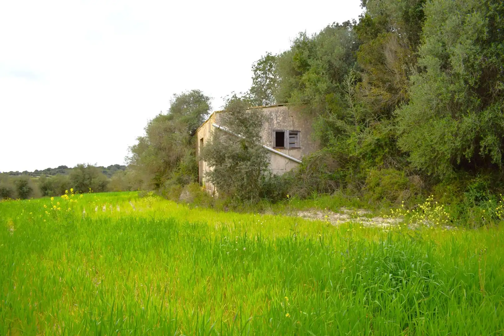 Casa rústica en venta en Muro, imagen 23