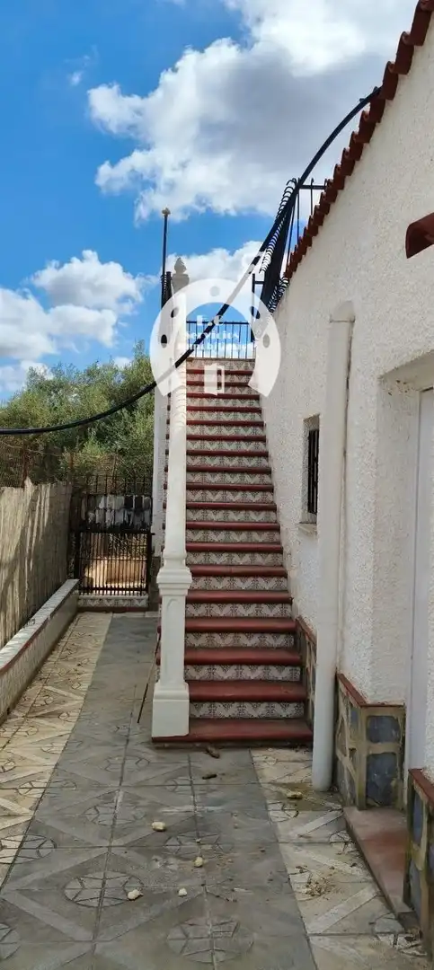 Vista exterior de Casa o xalet en venda en Elche / Elx amb Aire condicionat, Terrassa i Traster