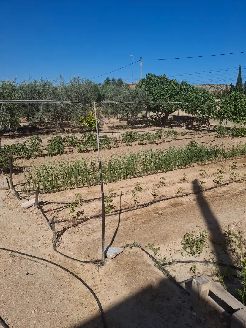 Haus oder Chalet zum Verkauf in Elche / Elx