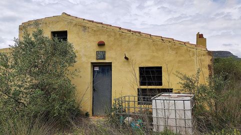 Casa Rustica y finca de olivos arbequina de 68.054m con pozo de agua en partida Sinyoles de la La Sénia Tarragona., imatge 5