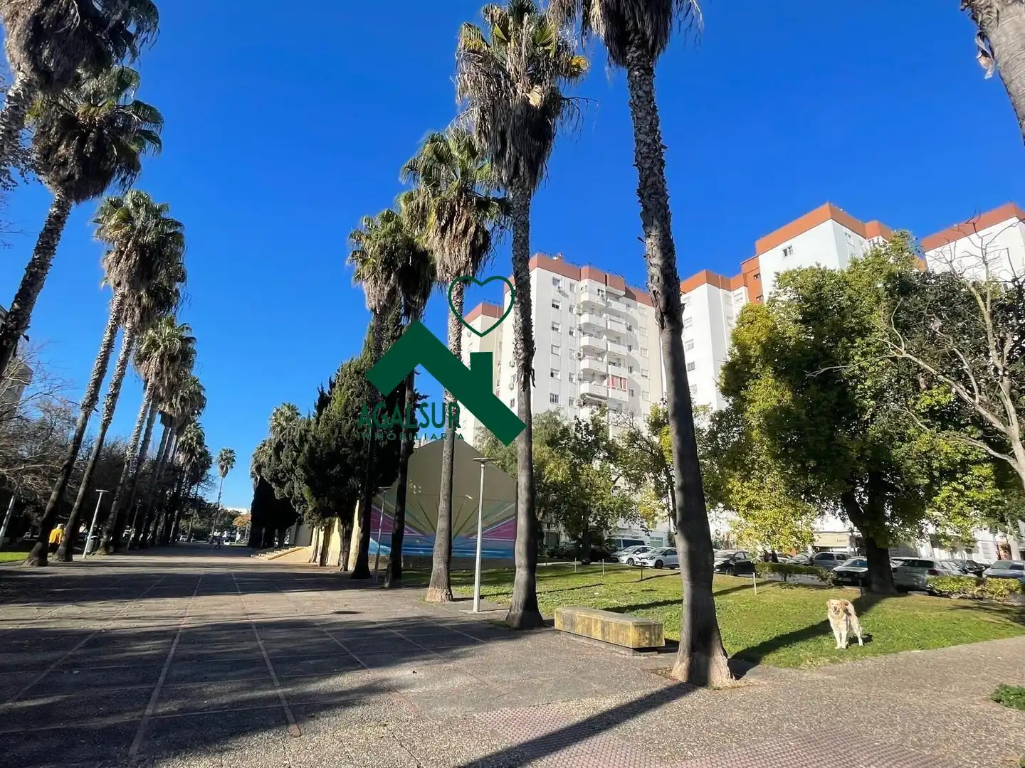 Vista exterior de Local en venda en Jerez de la Frontera