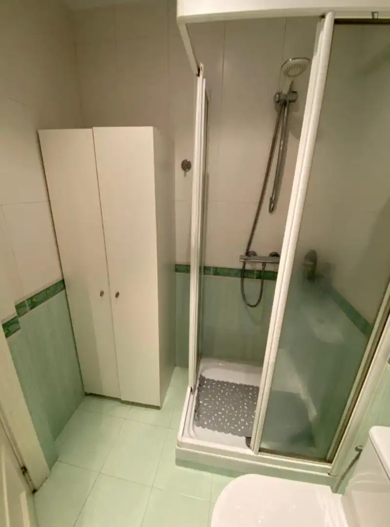 Bathroom of Apartments for share in Bilbao   with Furnished, Oven and Washing machine