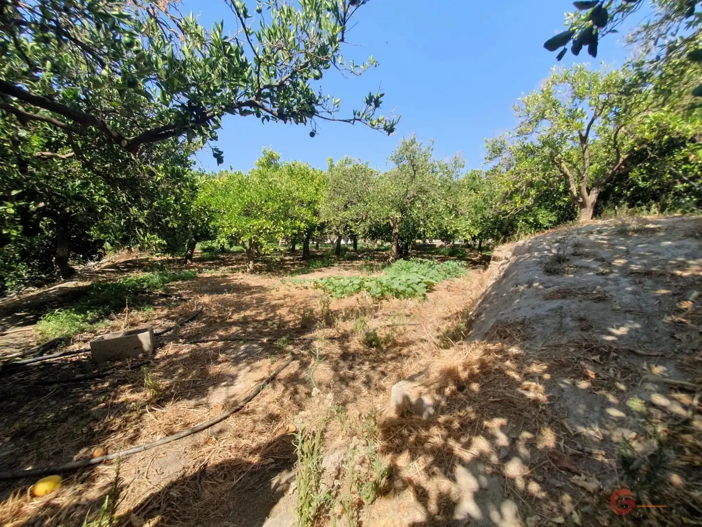 Country house zum Verkauf in El Valle