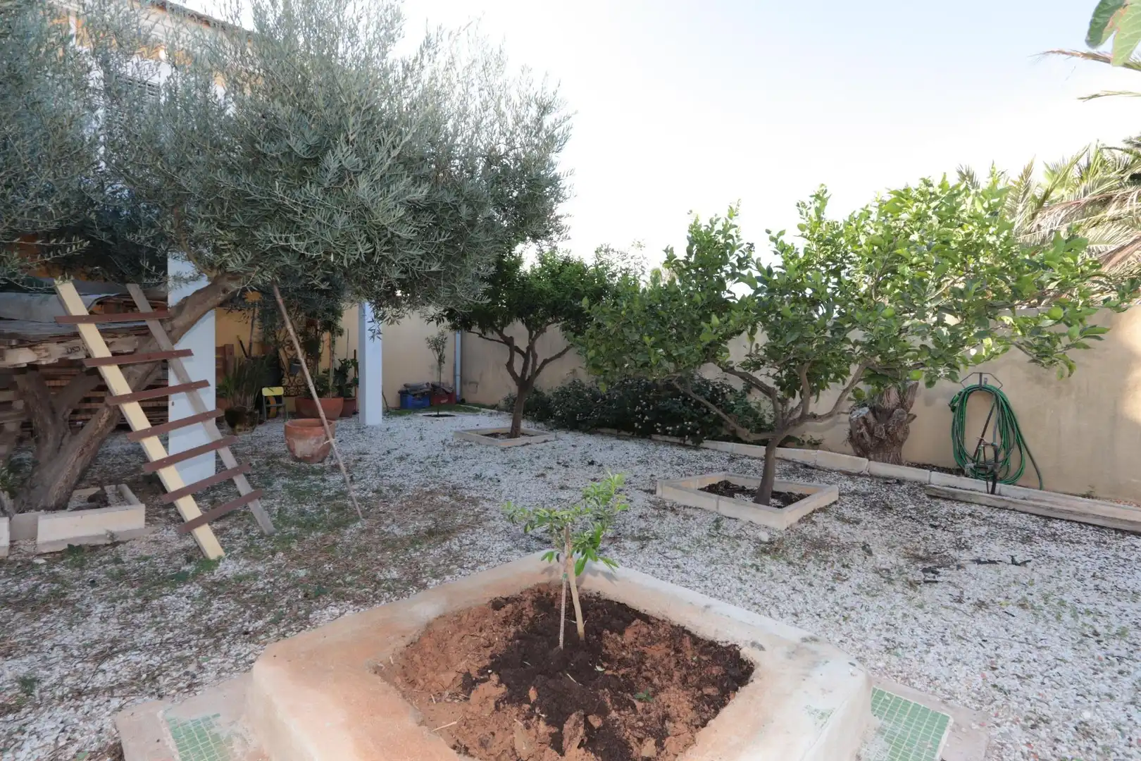Xalet amb piscina en venda a JACINTO BENAVENTE, imagen 14