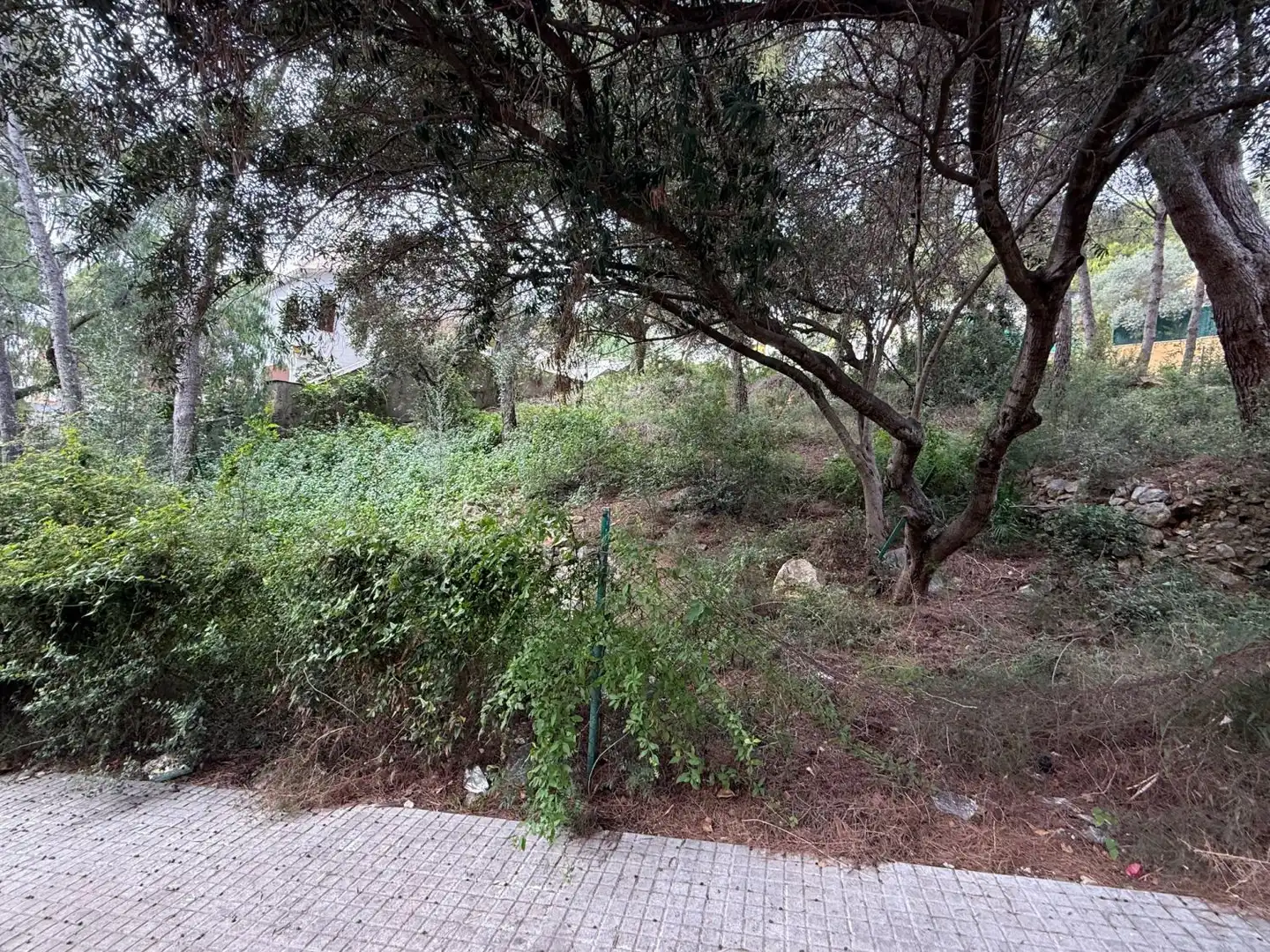Residential land for sale in La Móra, imagen 5