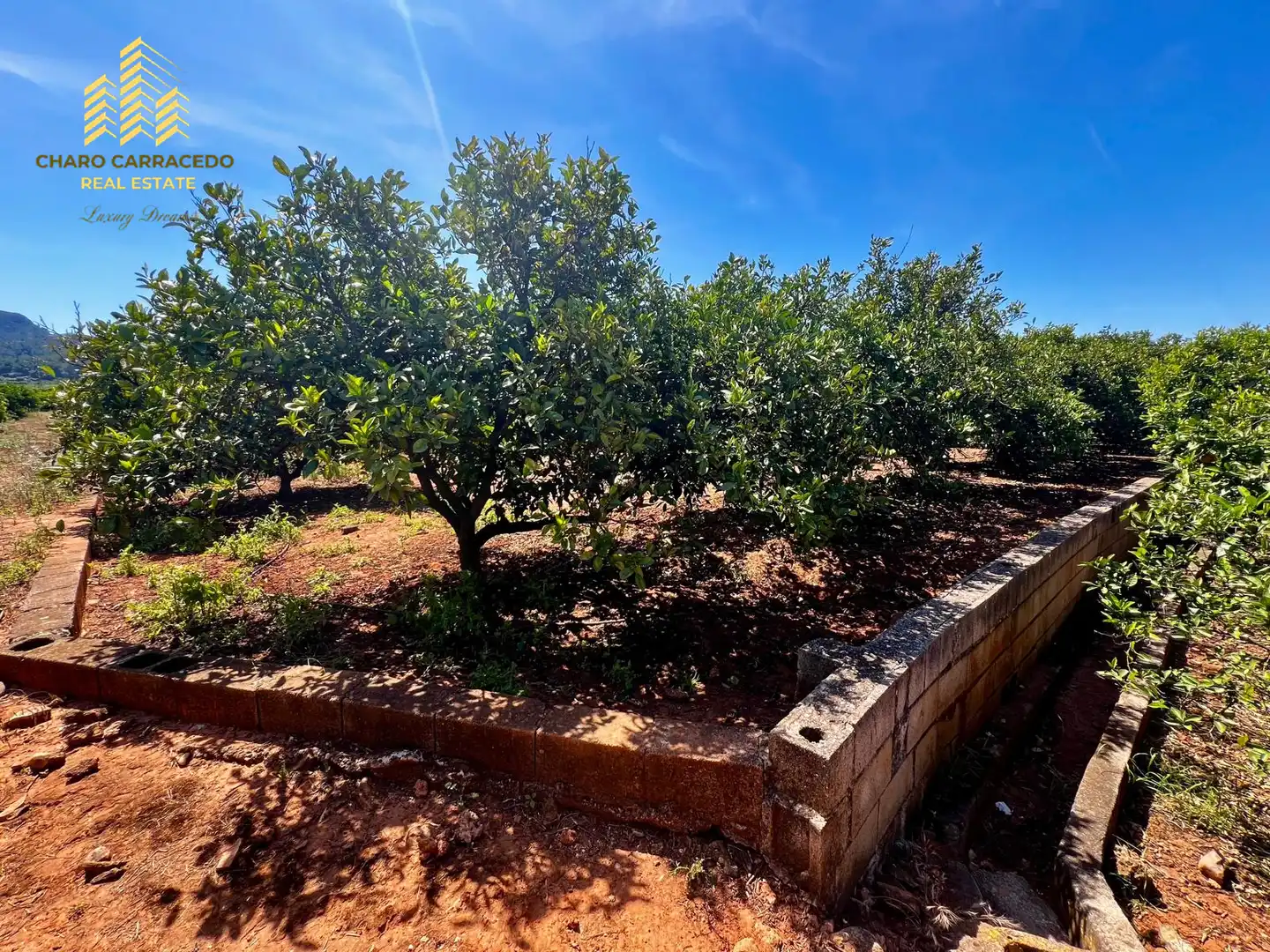 Terreno rústico en venta en Camí de la Murta-Ombria, imagen 16