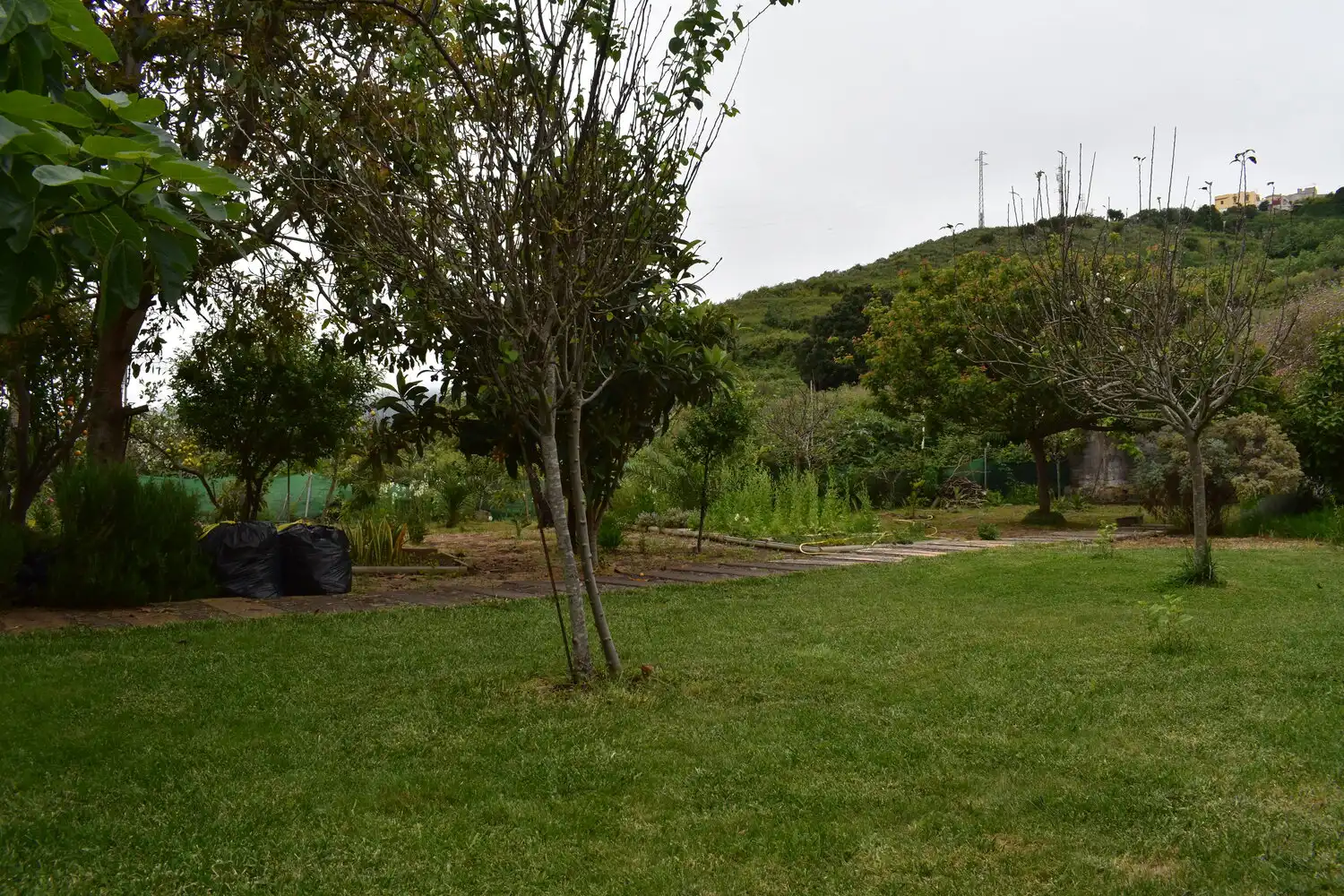 Finca rústica en venda en Icod de los Vinos amb Terrassa i Moblat