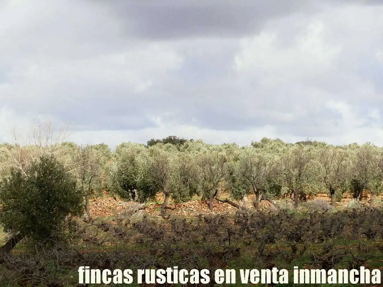 Rural land for sale in Valdepeñas, imagen 4