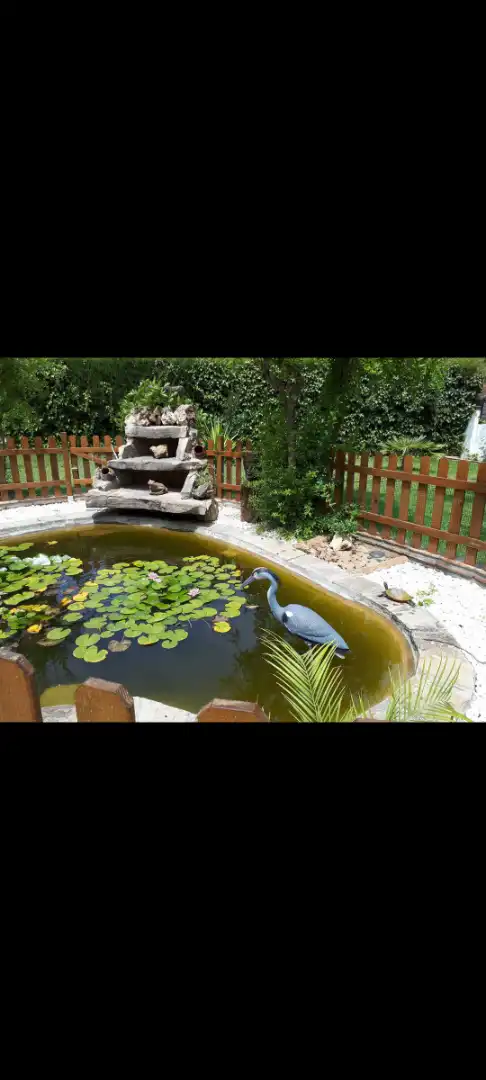 Casa rústica en venda a Jimena de la Frontera, imagen 33