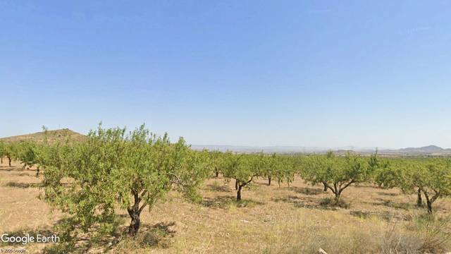 Terreno en Venta en N/A, -1 en La Pinilla - Las Palas