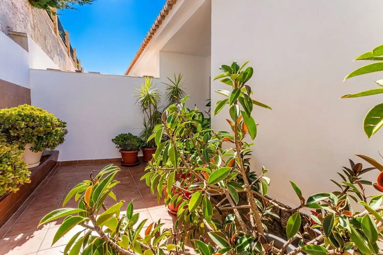 Terrassa de Casa o xalet en venda en Rincón de la Victoria amb Terrassa i Traster