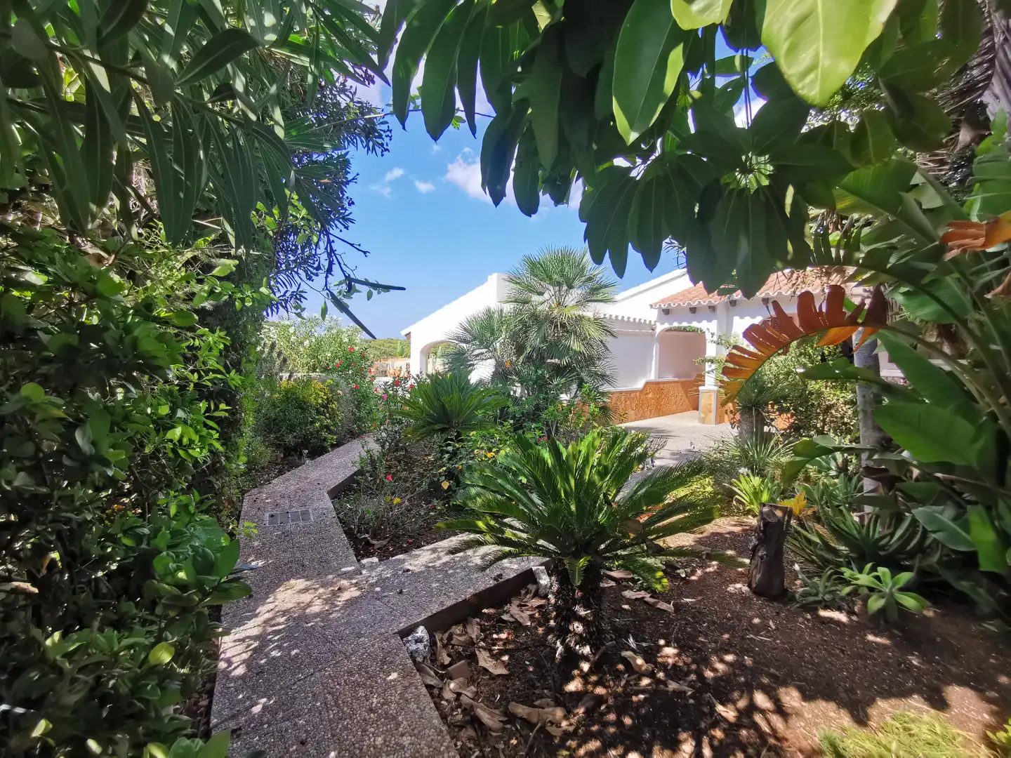 Jardí de Finca rústica en venda en Sant Lluís amb Aire condicionat, Calefacció i Jardí privat