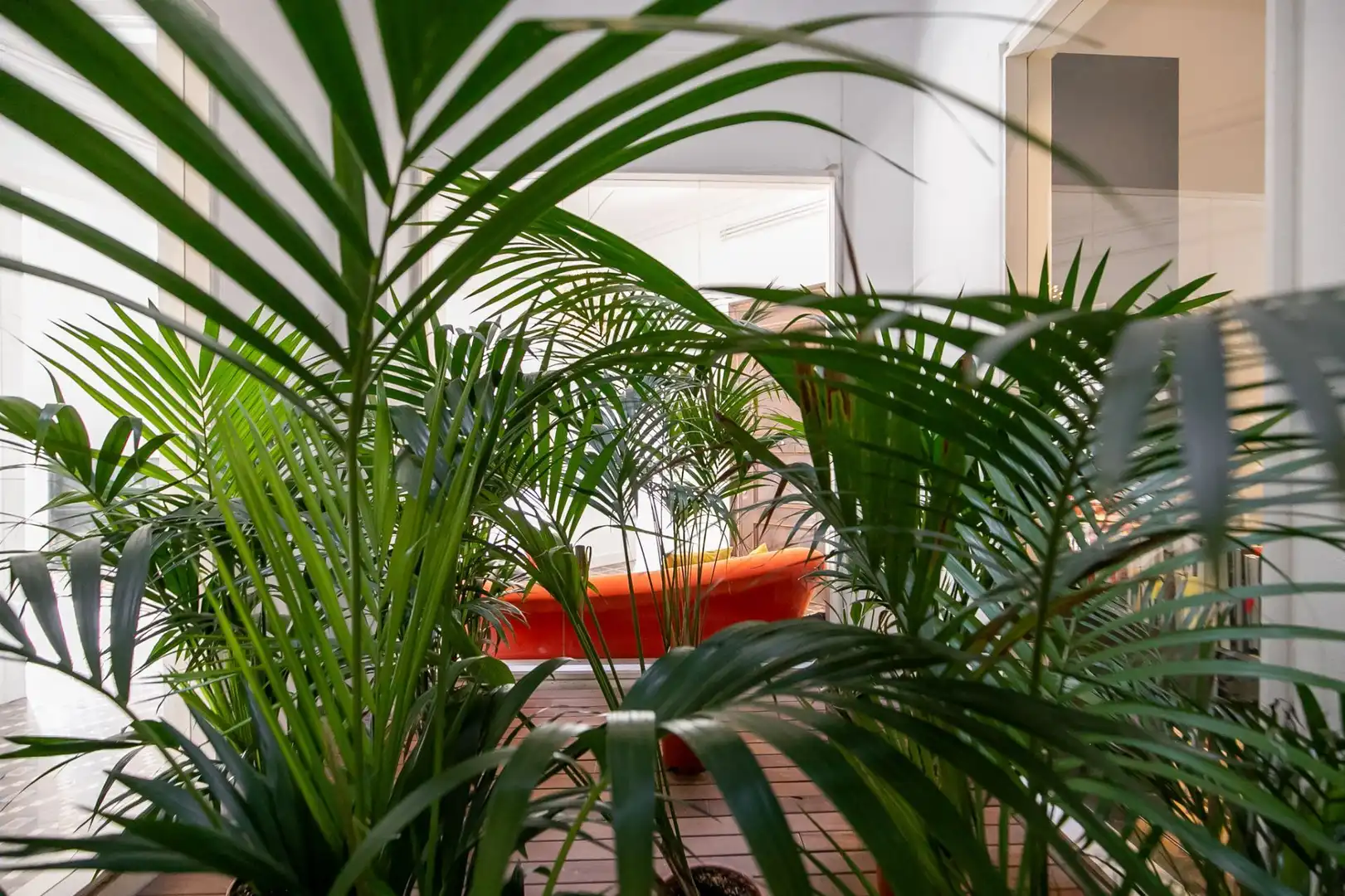 Wohnung mit Aufzug zum Verkauf in Eixample, imagen 23