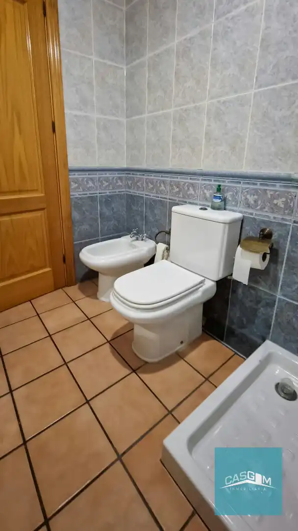 Maison avec jardin à vendre à Reina Victoria - Matadero, imagen 20